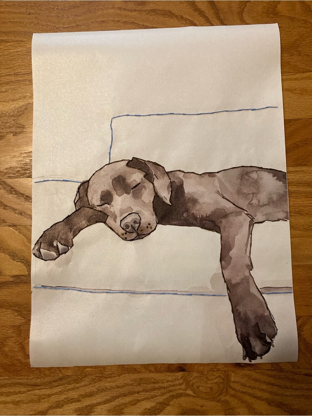 New canvas dog hand embroidered accents
